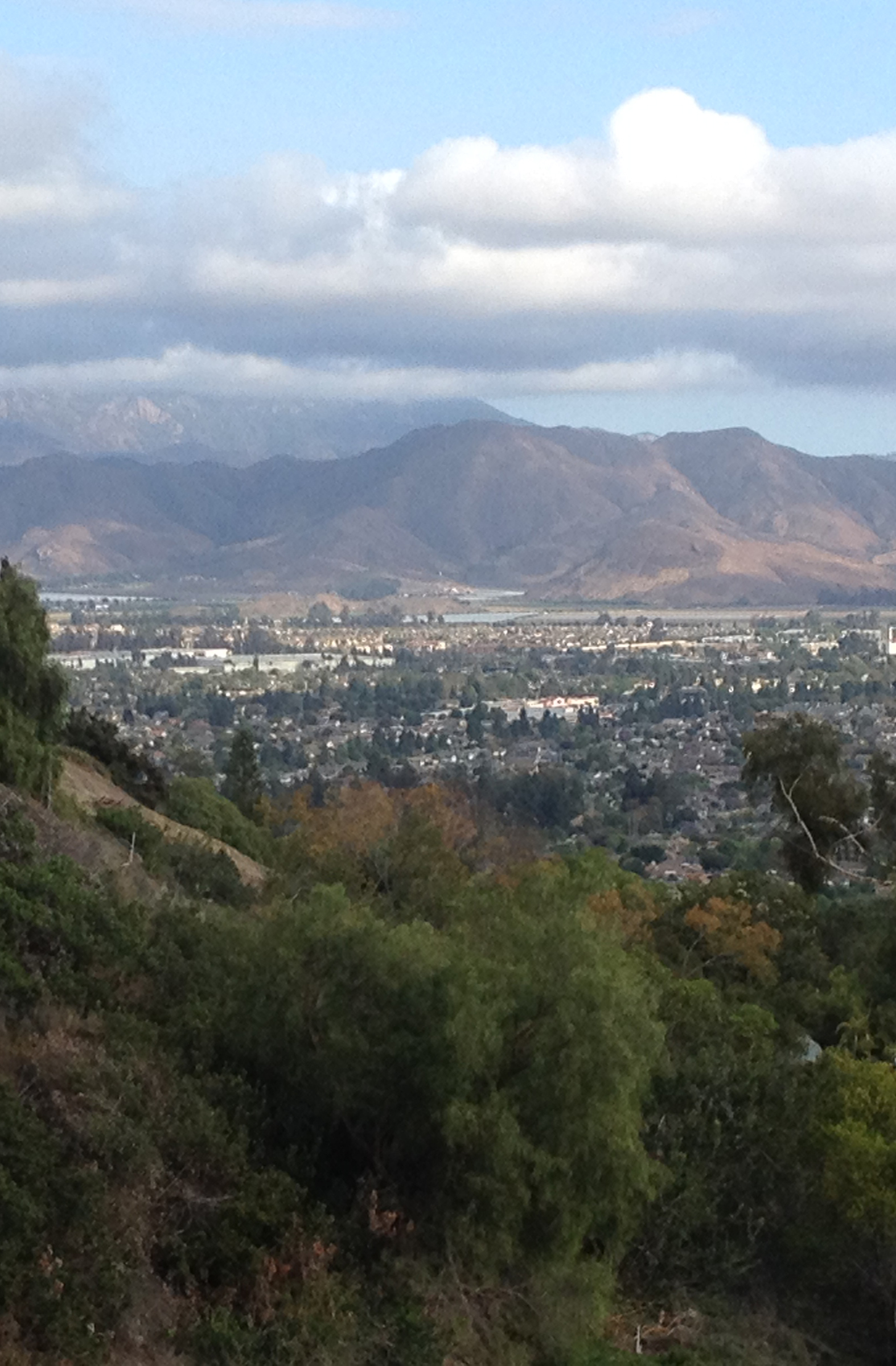 Hillside View